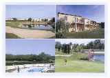 Site Views